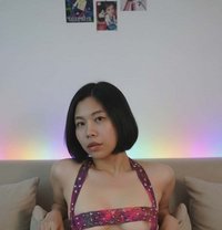 New good massage 🇹🇭 - Transsexual escort in Doha