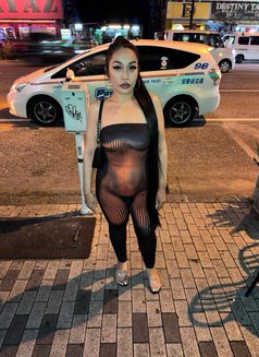 New here, available - escort in Yokosuka Photo 7 of 8