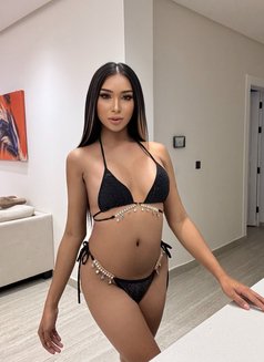 New Here - Transsexual escort in Al Manama Photo 13 of 14