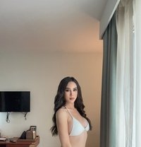 Sex cam show only - Acompañantes transexual in Al Ain