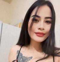New Hot Girl Thai - escort in Doha