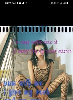 New in Bali - Acompañantes transexual in Bali Photo 2 of 8