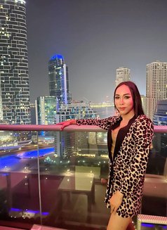 New In Bangkok Big Dick For You - Acompañantes transexual in Bangkok Photo 16 of 18