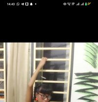 new in borneo berau - Acompañantes transexual in Surabaya