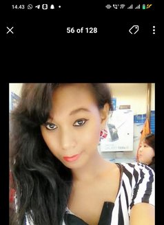 new in borneo berau - Acompañantes transexual in Surabaya Photo 11 of 18