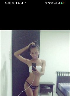 new in borneo berau - Acompañantes transexual in Surabaya Photo 12 of 18