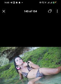 new in borneo berau - Acompañantes transexual in Surabaya Photo 17 of 18