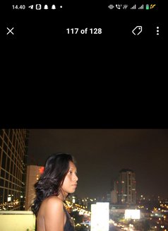 new in borneo berau - Acompañantes transexual in Surabaya Photo 18 of 18