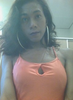 new in borneo berau - Transsexual escort in Surabaya Photo 14 of 14