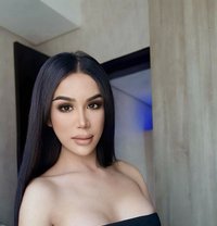 SEX CAM & CHANNEL - Transsexual escort in Doha