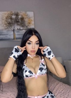 New in Dubai Rourou - escort in Dubai Photo 5 of 5
