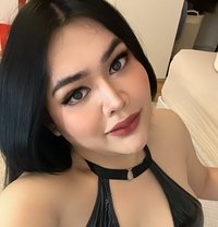 (Near HYDE PARK) THAI TS Emmie Curvy - Acompañantes transexual in London