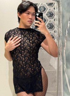 Young Ladyboy New in Riyadh 🇸🇦 - Acompañantes transexual in Riyadh Photo 1 of 1