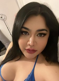 (New in London) THAI Emmie Curvy - Transsexual escort in London Photo 6 of 11