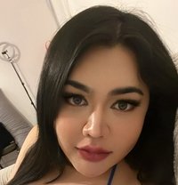 (New in London) THAI Emmie Curvy - Transsexual escort in London