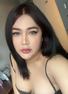 (New in London) THAI Emmie Curvy - Transsexual escort in London Photo 10 of 12