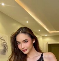 NEW ‍! Jessie Vip ladyboy - Transsexual escort in Riyadh Photo 1 of 12