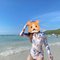 Daddys Girl: Sexy Kate - escort in Bangkok Photo 1 of 4