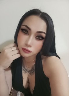 NEW LADIES IN MUSCUT - escort agency in Muscat Photo 22 of 23