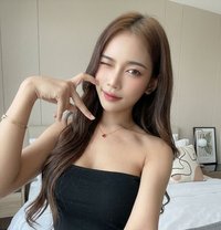 New Lady Boy /Both 69 - Transsexual escort in Pattaya