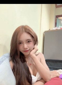 New Lady Boy /Both 69 - Transsexual escort in Pattaya Photo 8 of 8