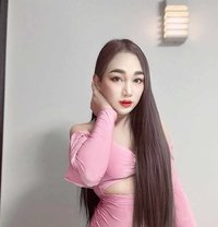 New Lady Boy From Thailand Ninew - masseuse in Abu Dhabi