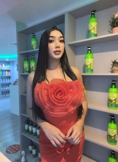 New Lady Boy - masseuse in Dubai Photo 7 of 7