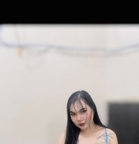 New​ Lady​boy​ - Transsexual escort in Al Sohar