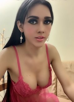 New Ladyboy Big Boobs - Acompañantes transexual in Muscat Photo 3 of 3