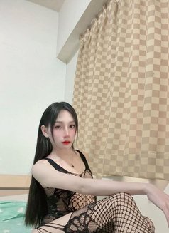 New Ladyboy Both - Transsexual escort in Khobar Photo 1 of 18