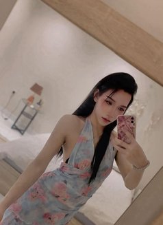 New Ladyboy Both - Transsexual escort in Khobar Photo 2 of 18