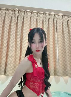 New Ladyboy Both - Transsexual escort in Khobar Photo 5 of 18