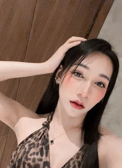 New Ladyboy Both - Transsexual escort in Khobar Photo 10 of 18