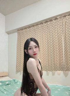 New Ladyboy Both - Transsexual escort in Khobar Photo 11 of 18