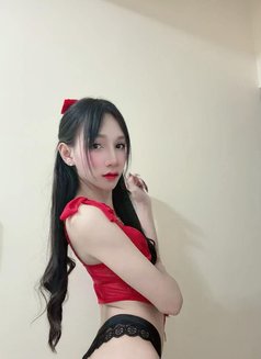 New Ladyboy Both - Transsexual escort in Khobar Photo 12 of 18