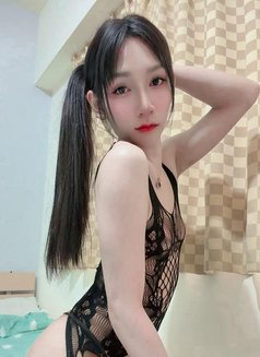 New Ladyboy Both - Transsexual escort in Khobar Photo 14 of 18