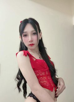 New Ladyboy Both - Transsexual escort in Khobar Photo 17 of 18