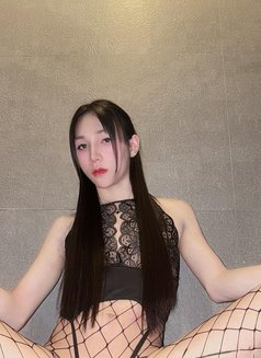 New Ladyboy Both - Transsexual escort in Khobar Photo 20 of 20