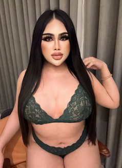 New ladyboy chubby 🇹🇭 - masseuse in Jeddah Photo 21 of 22