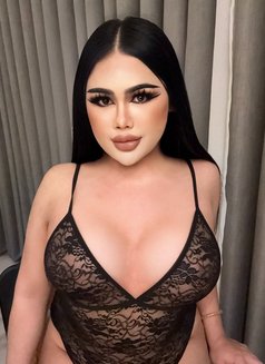 New ladyboy chubby 🇹🇭 - masseuse in Jeddah Photo 22 of 22
