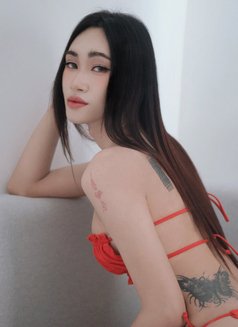 New ladyboy VIP, BKK - Transsexual escort in Bangkok Photo 3 of 11