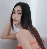 New ladyboy VIP, BKK - Acompañantes transexual in Bangkok