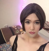 Sexy Asian Ladyboy in Qatar - Acompañantes transexual in Doha