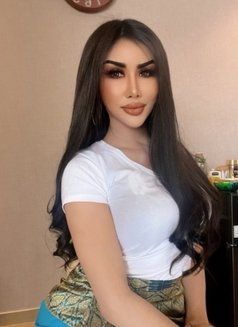 New Ladyboy In Abu Dhabi Thai Transsexual Escort In Abu Dhabi