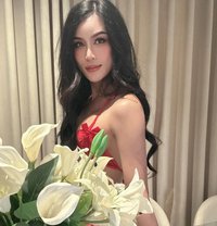 New Ladyboy in juffair - Acompañantes transexual in Al Manama