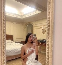 new Ladyboy in - Transsexual escort in Doha