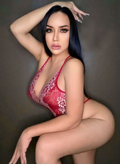 new Ladyboy in - Transsexual escort in Jeddah Photo 19 of 21