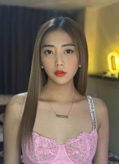 New Ladyboy in Town - Transsexual escort in Bangkok Photo 6 of 9