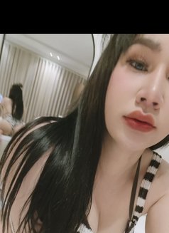 New Ladyboy_khobar - Transsexual escort in Riyadh Photo 18 of 18