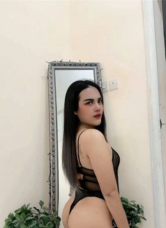 New Ladyboy Sohar - Transsexual escort in Al Sohar Photo 5 of 6